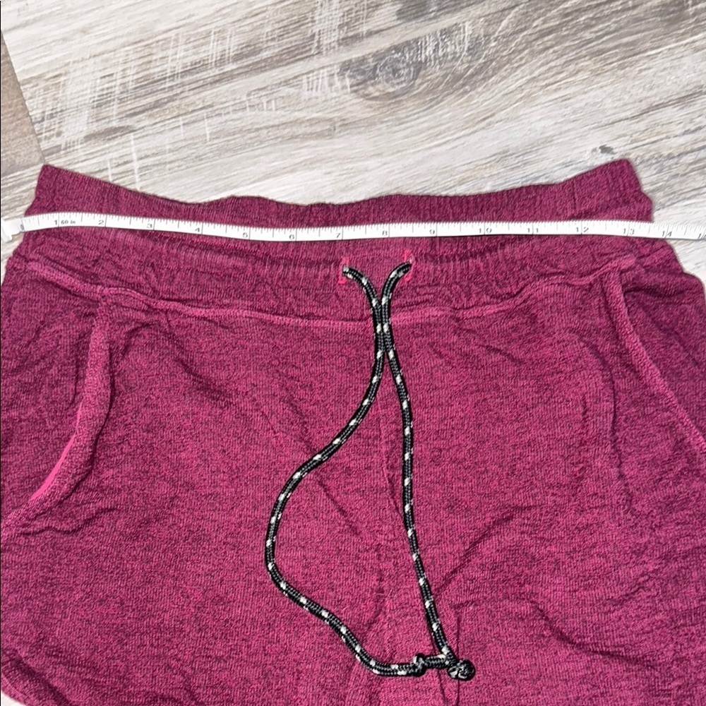 Sundry by Evereve Comfy Burgundy Jogger Pants - Picture 3 of 6
